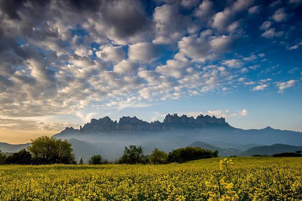 Apartament Roca Foradada Monistrol de Montserrat Экстерьер фото